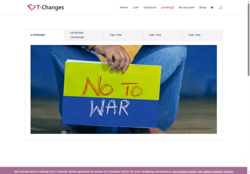 t-changes.com capture - 2025-08-21 14:55:08