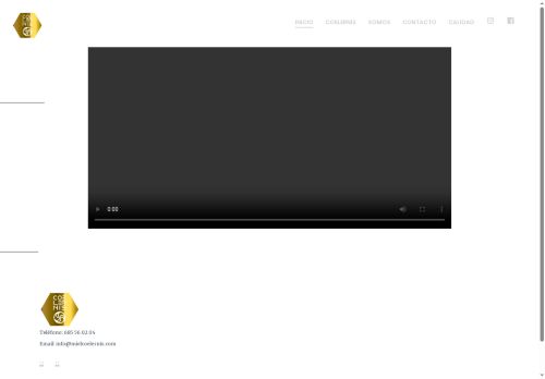 mielcoelernis.com capture - 2025-08-21 20:49:07