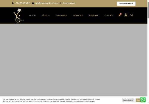 shopyoushine.com capture - 2025-08-22 01:37:32