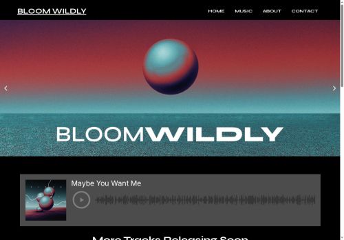 bloomwildlyband.com capture - 2025-08-22 02:41:15