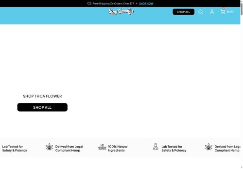 baysmkes.com capture - 2025-08-22 04:53:07