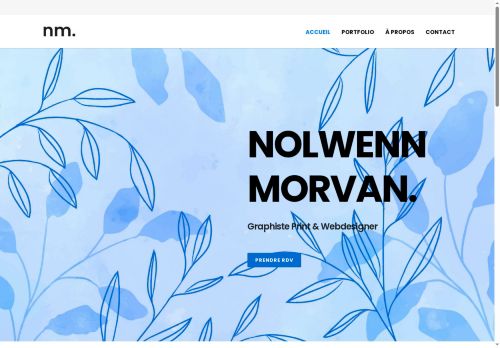 nmorvan.com capture - 2025-08-22 16:37:19