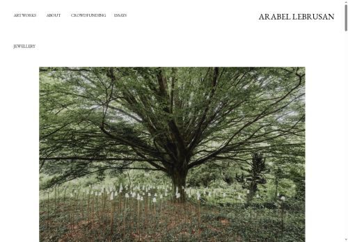 arabellebrusanart.com capture - 2025-08-22 18:12:08