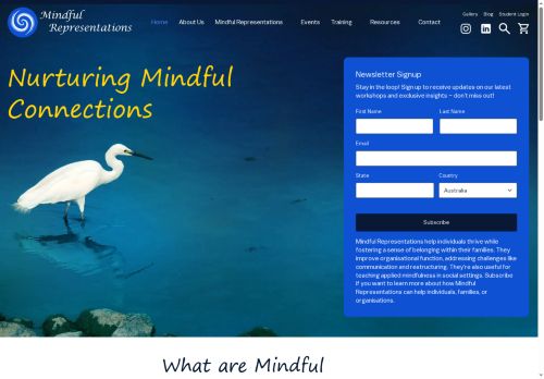 mindfulrepresentations.com capture - 2025-08-22 18:48:10
