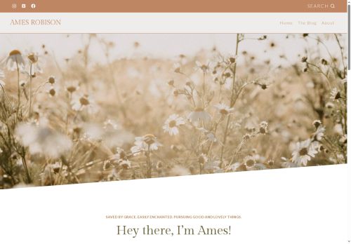 amesrobison.com capture - 2025-08-22 23:41:12