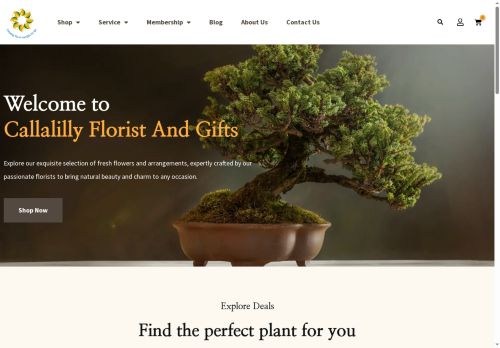 callalillyflorist.com capture - 2025-08-23 01:59:17