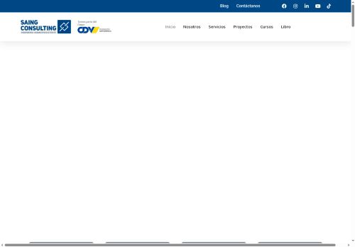 saingconsulting.com capture - 2025-08-23 03:13:45