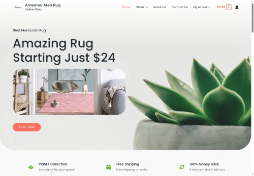 amearea.com capture - 2025-08-23 06:02:01