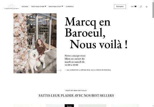 comptoirdescoussinets.com capture - 2025-08-23 07:07:45