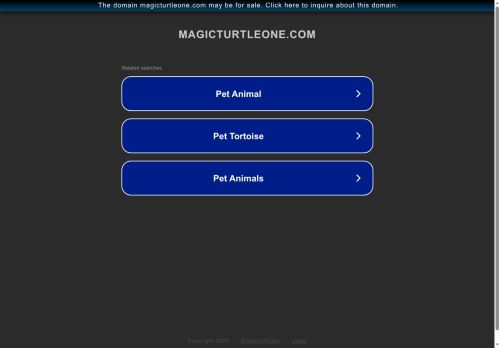 magicturtleone.com capture - 2025-08-23 14:46:03