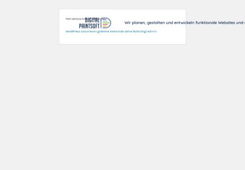 digitalpaintsoft.com capture - 2025-08-23 15:00:10