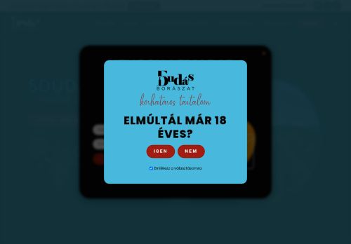 5dudasboraszat.com capture - 2025-08-23 17:03:56