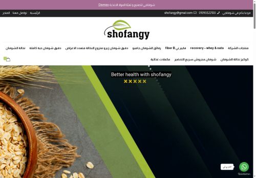 shofangy.com capture - 2025-08-23 20:37:50