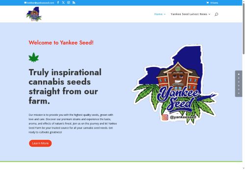 nypiff.com capture - 2025-08-23 23:28:39