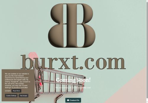 burxt.com capture - 2025-08-24 01:32:05