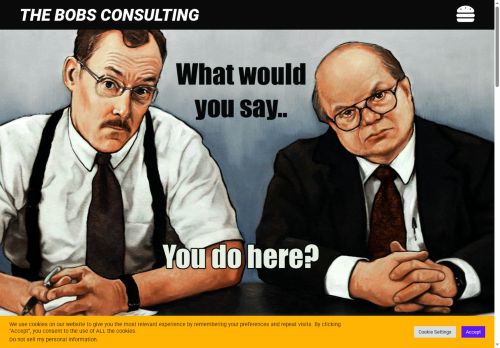 thebobsconsulting.com capture - 2025-08-24 04:37:15