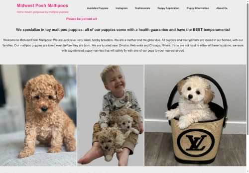 midwestposhmaltipoos.com capture - 2025-08-24 06:37:30