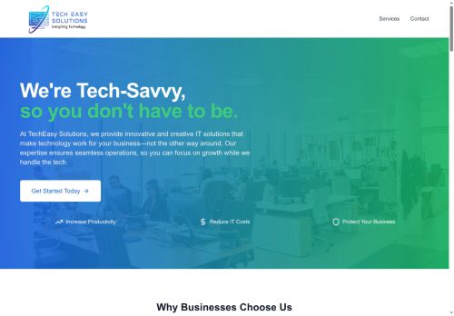 techeasys.com capture - 2025-08-24 10:01:09