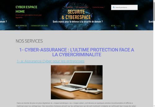 cyberespacehome.com capture - 2025-08-24 15:39:37