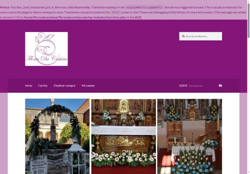 floresdacostina.com capture - 2025-08-25 16:11:45