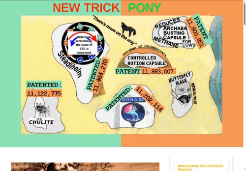 newtrickpony.com capture - 2025-08-25 19:30:11