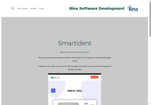 binadev.com capture - 2025-08-25 20:01:48