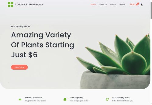 cuddabuiltperformance.com capture - 2025-08-26 04:12:32