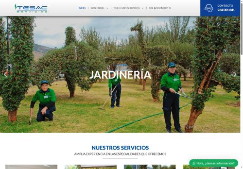 tesacservicios.com capture - 2025-08-26 08:34:45
