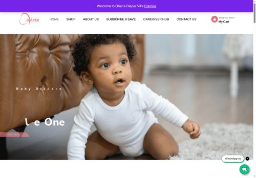 diapervilla.com capture - 2025-08-26 14:59:13