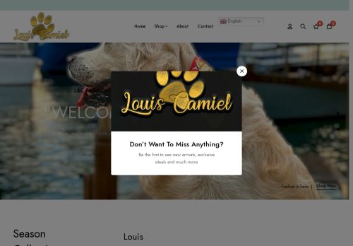 louiscamiel.com capture - 2025-08-26 15:59:33