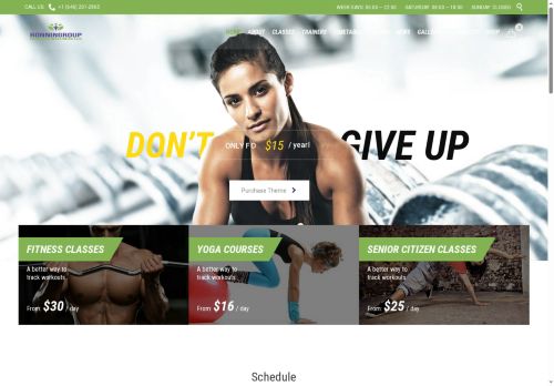 ronningroup.com capture - 2025-08-26 18:25:33