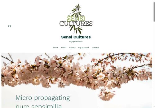 sensicultures.com capture - 2025-08-26 19:55:40