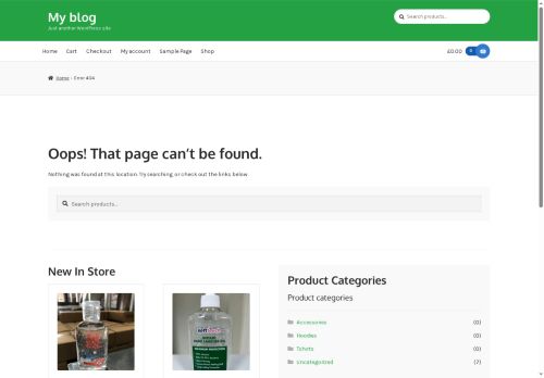 salonsppe.com capture - 2025-08-26 22:12:42