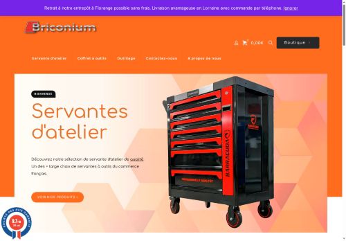 briconium.com capture - 2025-08-27 00:19:54