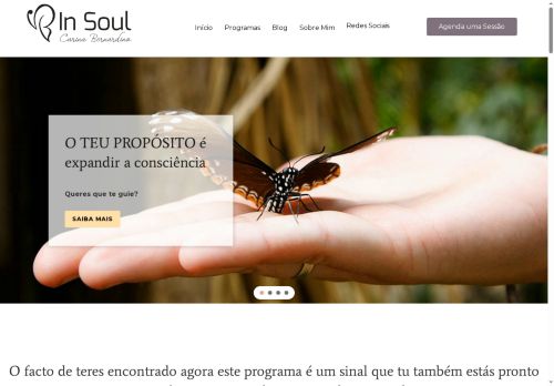 insoulcoaching.com capture - 2025-08-27 01:36:58