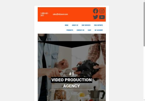 vidzooom.com capture - 2025-08-27 01:56:43