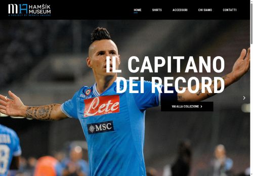 hamsikmuseum.com capture - 2025-08-27 05:41:08