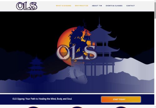 olshealing.com capture - 2025-08-27 07:10:11