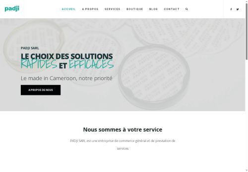 padjisarl.com capture - 2025-08-27 09:52:14