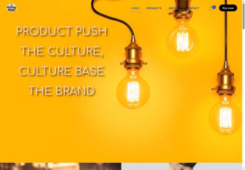 moneymaidllc.com capture - 2025-08-27 14:43:31