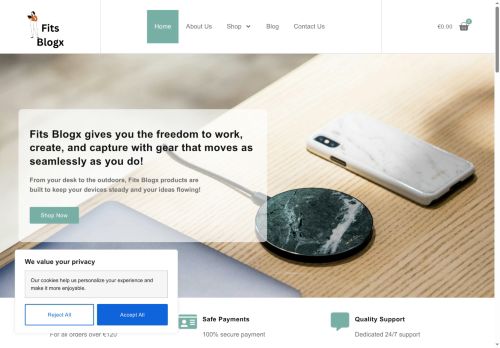fitsblogx.com capture - 2025-08-27 21:49:43