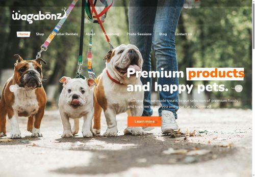 Wagabonz capture - 2025-08-27 23:34:03