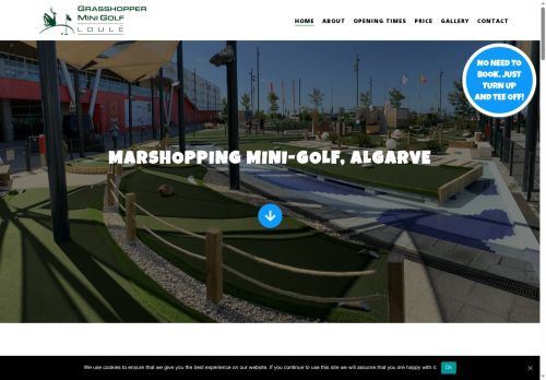 grasshopperminigolf.com capture - 2025-08-28 00:49:47