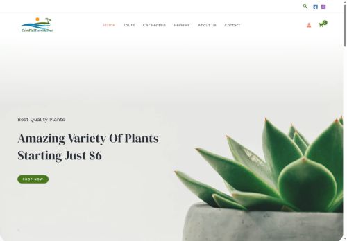 cebuphiltour.com capture - 2025-08-28 01:24:44