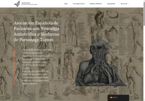 scapulada.com capture - 2025-08-28 08:33:04