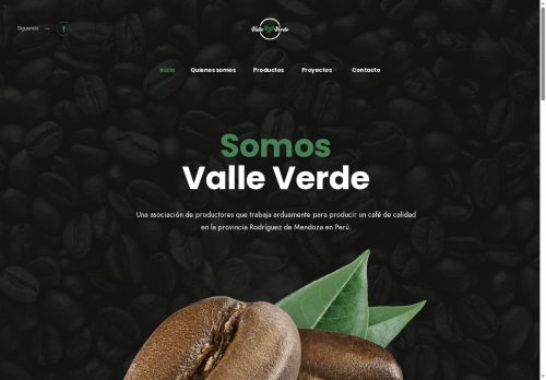 valleverdeamazonas.com capture - 2025-08-28 15:37:06