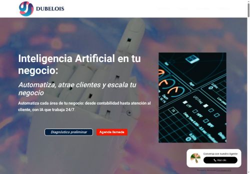 dubelois.com capture - 2025-08-28 15:50:51