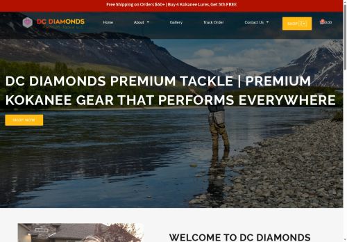 dcdiamondstackle.com capture - 2025-08-28 16:35:31