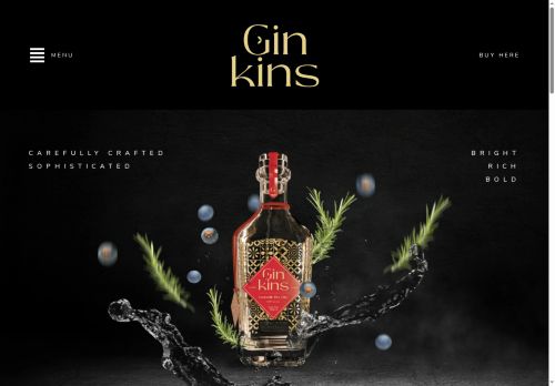 ginginkins.com capture - 2025-08-28 18:09:51