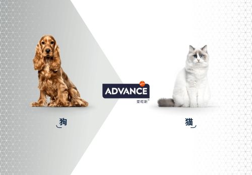 advancepetfood-china.com capture - 2025-08-28 20:19:22